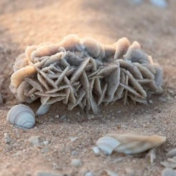Desert Rose Selenite Barite Specimens Natural Crystal YOU CHOOSE