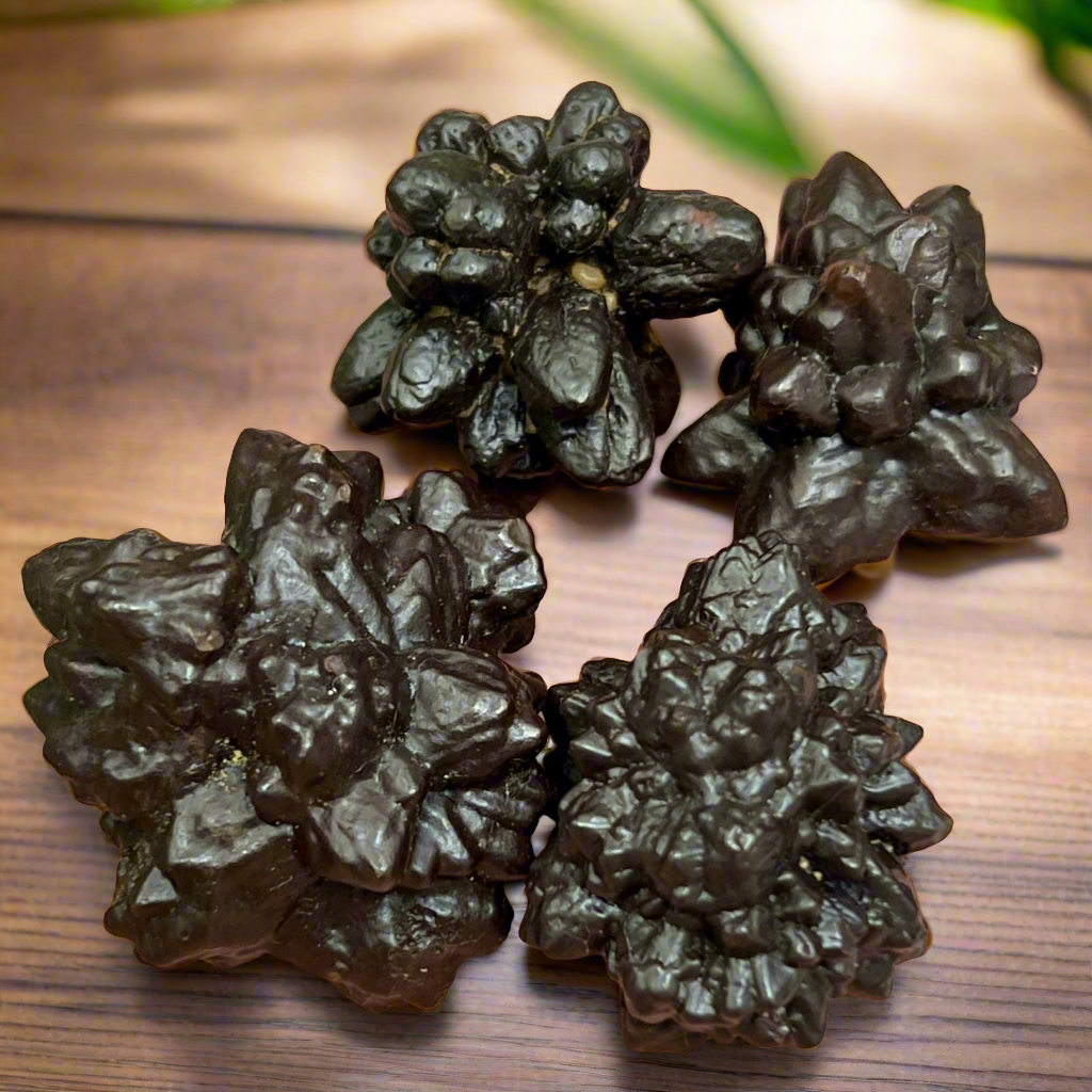 Prophecy Stones RARE Limonite Marcasite Raw Specimens Crystals