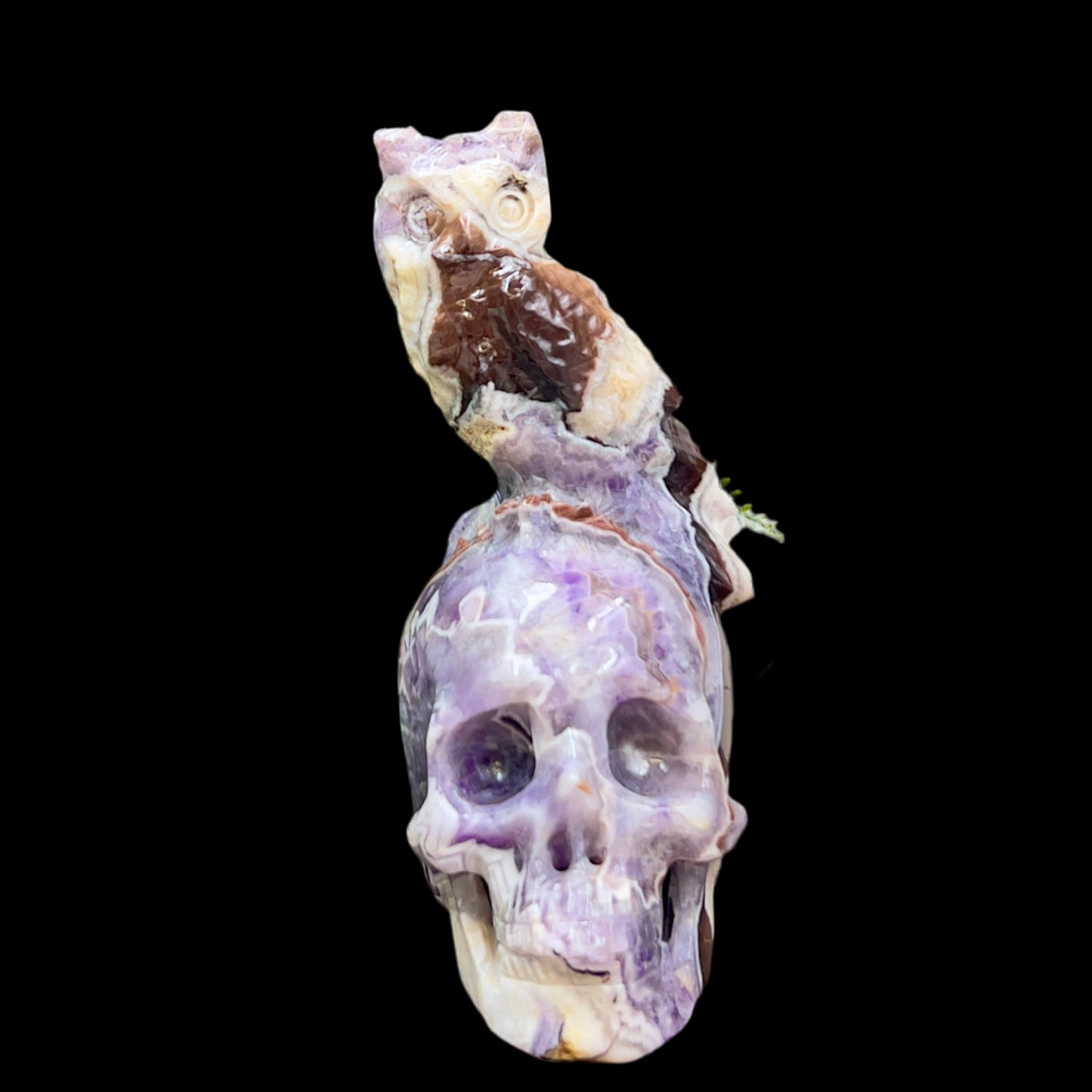 Chevron Dream Amethyst Owl on Skull Hollow Jaw Crystal Carving 700g