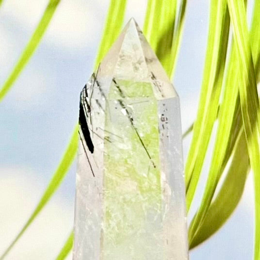 Black Tourmaline in Clear Quartz Tower Crystal Generator 156g 120mm