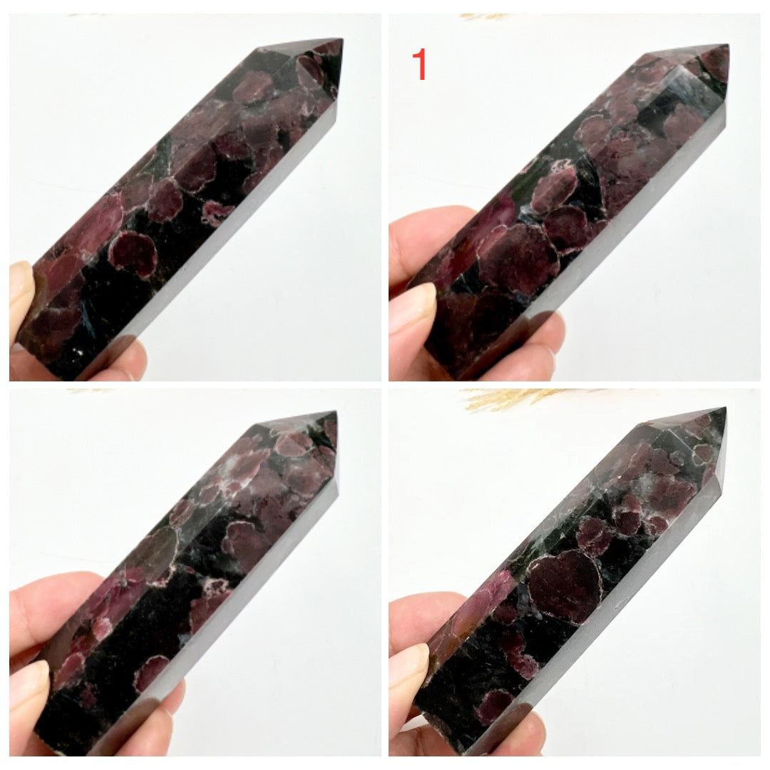 Garnet in Arfvedsonite Points Towers Crystal Generators YOU CHOOSE