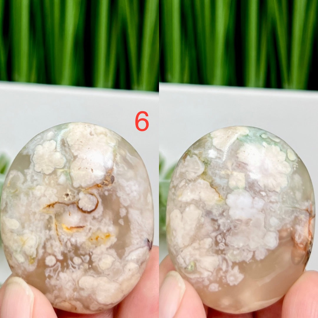 Flower Agate Palm Stones Meditation Crystals YOU CHOOSE