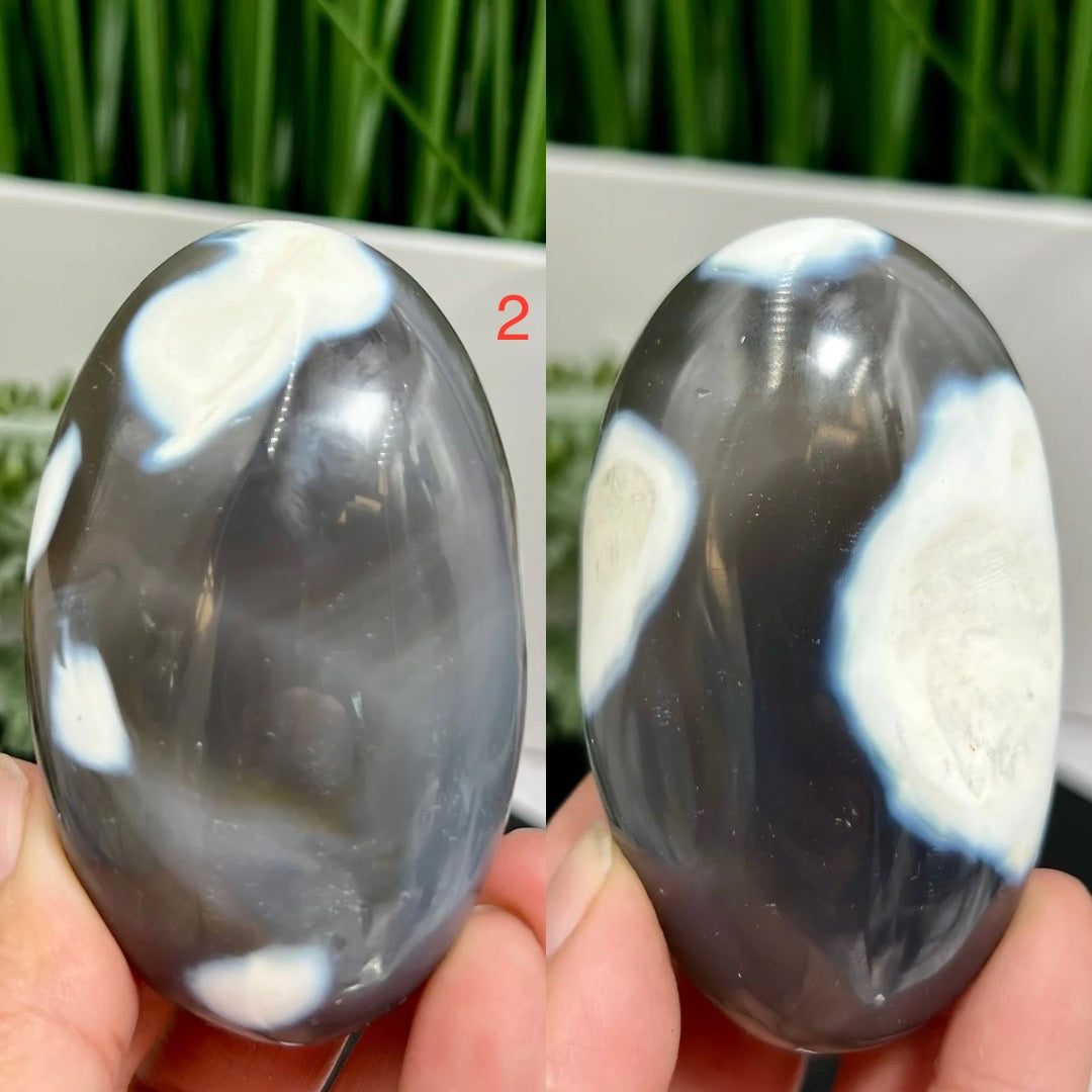 Orca Agate Palm Stone Worry Meditation Crystal YOU CHOOSE