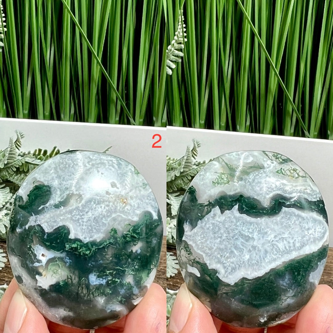 Moss Agate Palm Stones Meditation Crystal YOU CHOOSE