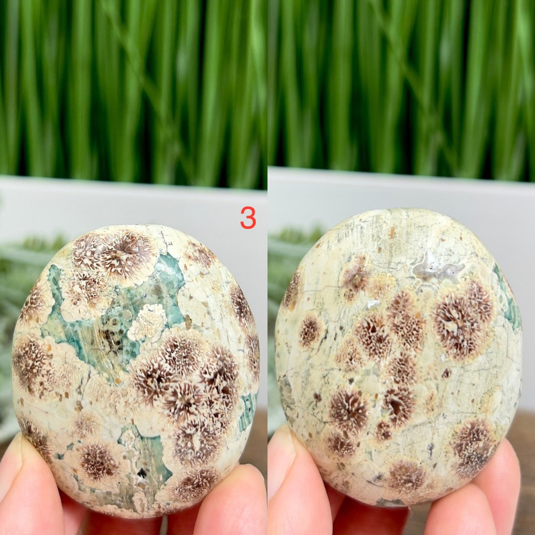 Russian Flower Cherry Blossom Jasper Palm Stone Crystals YOU CHOOSE