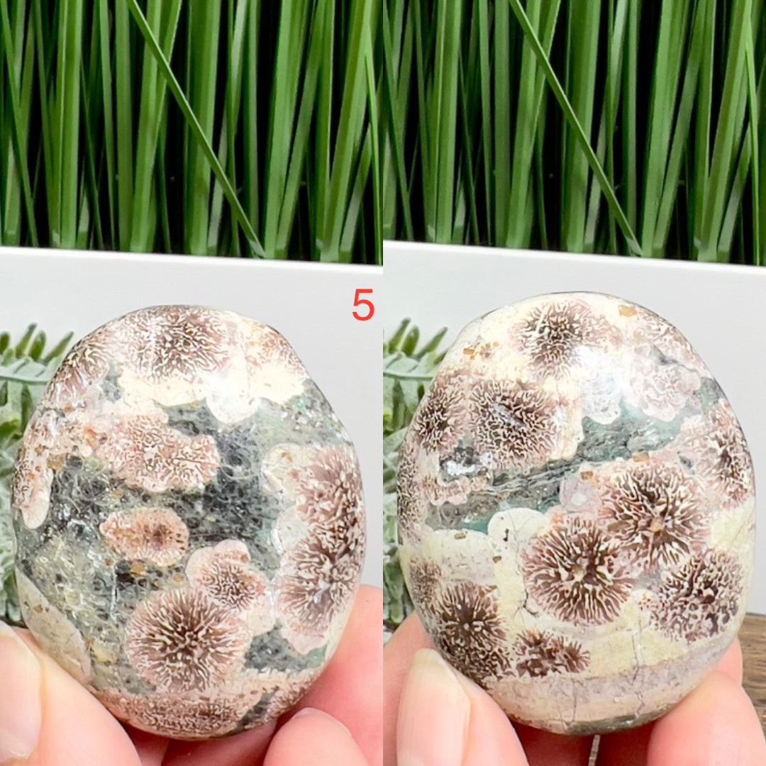 Russian Flower Cherry Blossom Jasper Palm Stone Crystals YOU CHOOSE