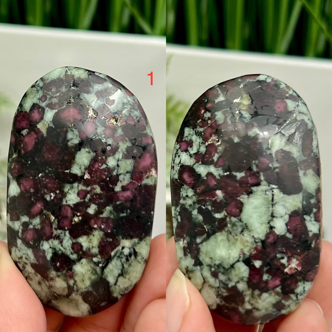 Eudialyte Garnet Feldspar Niter Rare UV Reactive Palm Stones Meditation Crystals