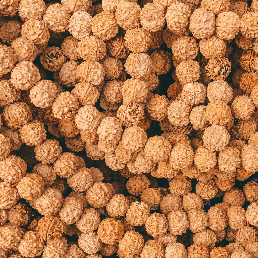 Rudraksha Beads 108 Mala Prayer Meditation Sacred Seeds DIY