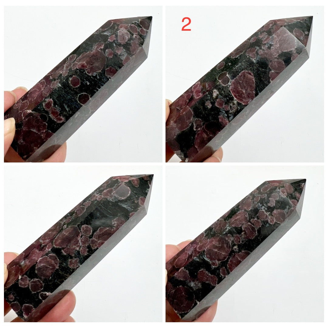 Garnet in Arfvedsonite Points Towers Crystal Generators YOU CHOOSE