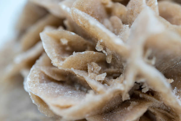 Desert Rose Selenite Barite Specimens Natural Crystal YOU CHOOSE