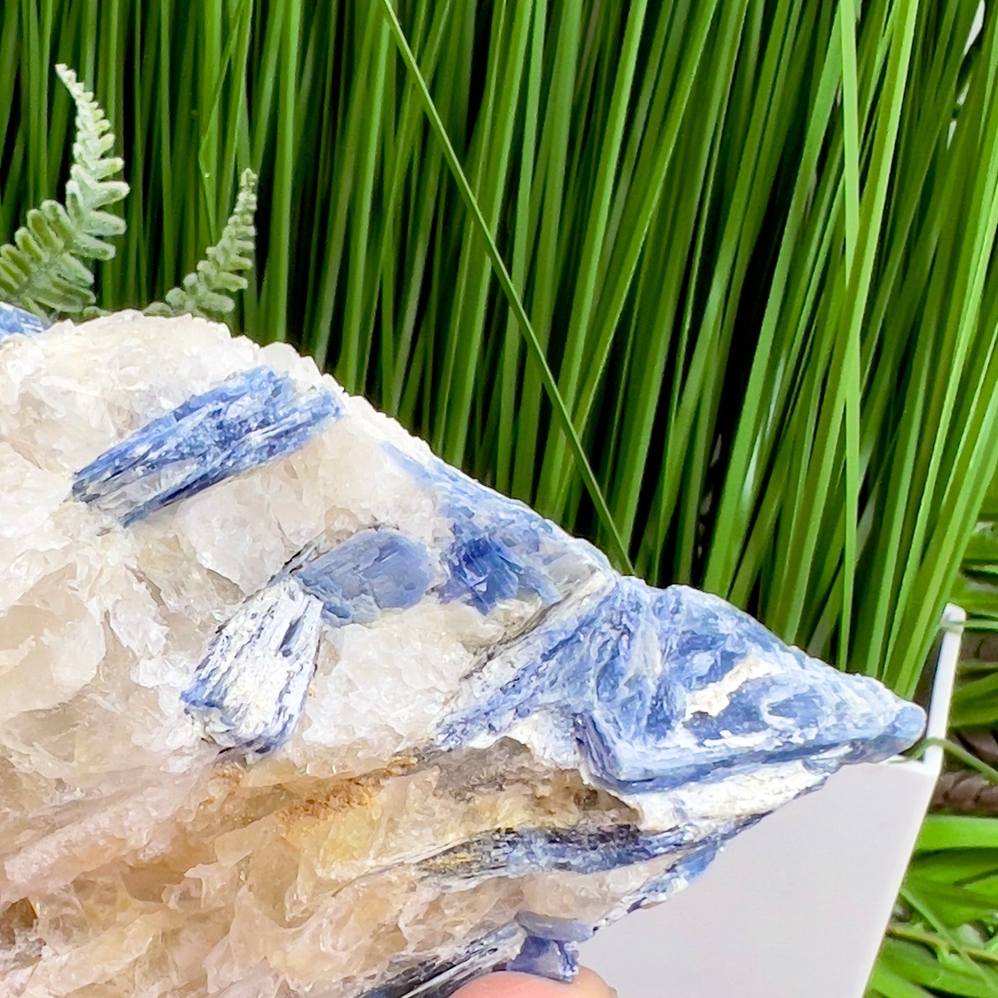 Blue Kyanite and Garnet Inclusion With Stand Natural Raw Specimen Crystal 534g