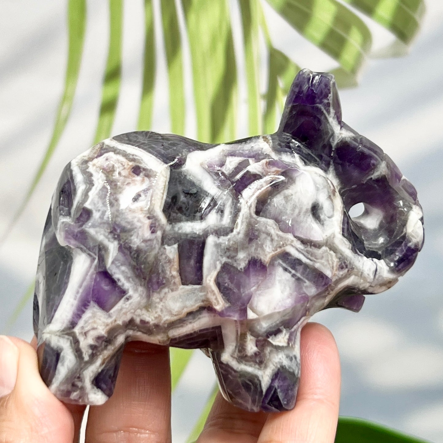 Chevron Dream Amethyst Healing Elephant Crystal Animal Carving 255g