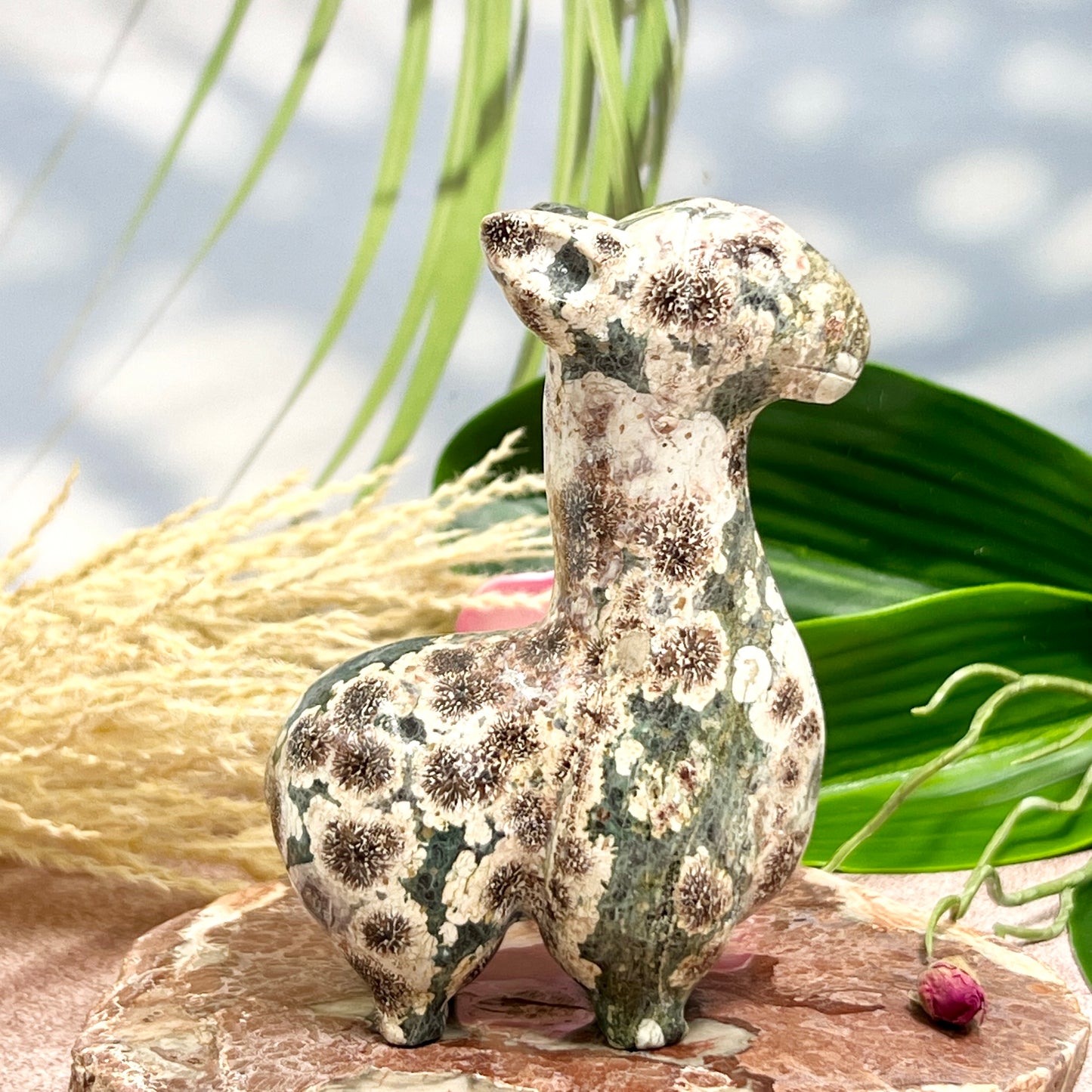 Russian Flower Cherry Blossom Jasper Llama Alpaca Crystal Animal Carving 404g