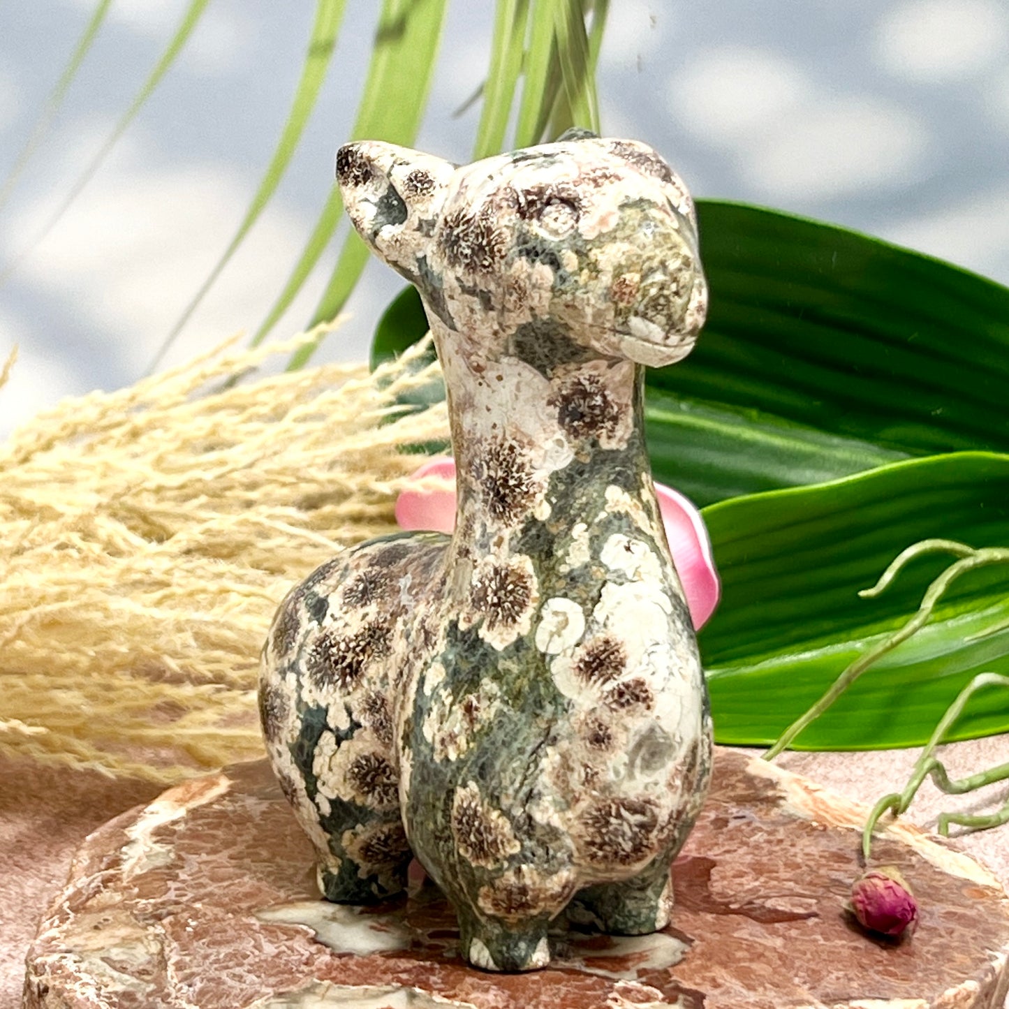 Russian Flower Cherry Blossom Jasper Llama Alpaca Crystal Animal Carving 404g