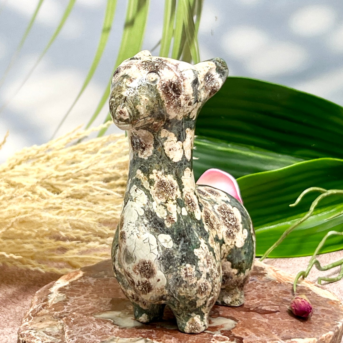 Russian Flower Cherry Blossom Jasper Llama Alpaca Crystal Animal Carving 404g