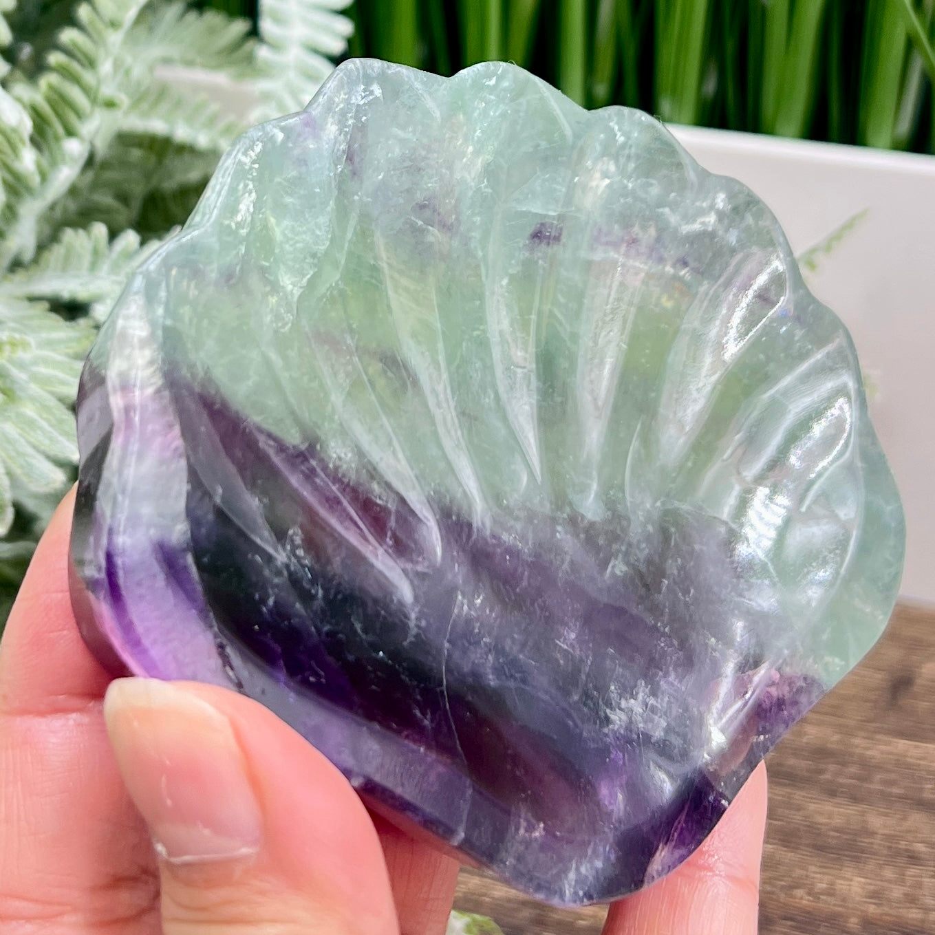 Purple Green Fluorite Shell Shaped Bowl Crystal Carving 276g