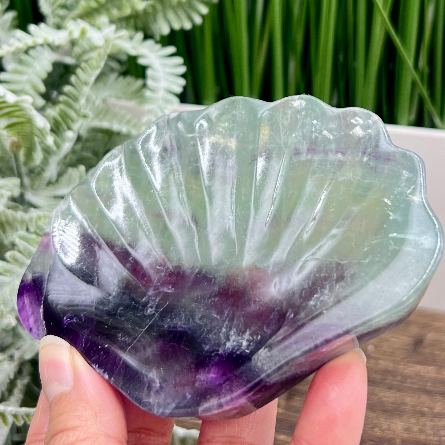 Purple Green Fluorite Shell Shaped Bowl Crystal Carving 276g