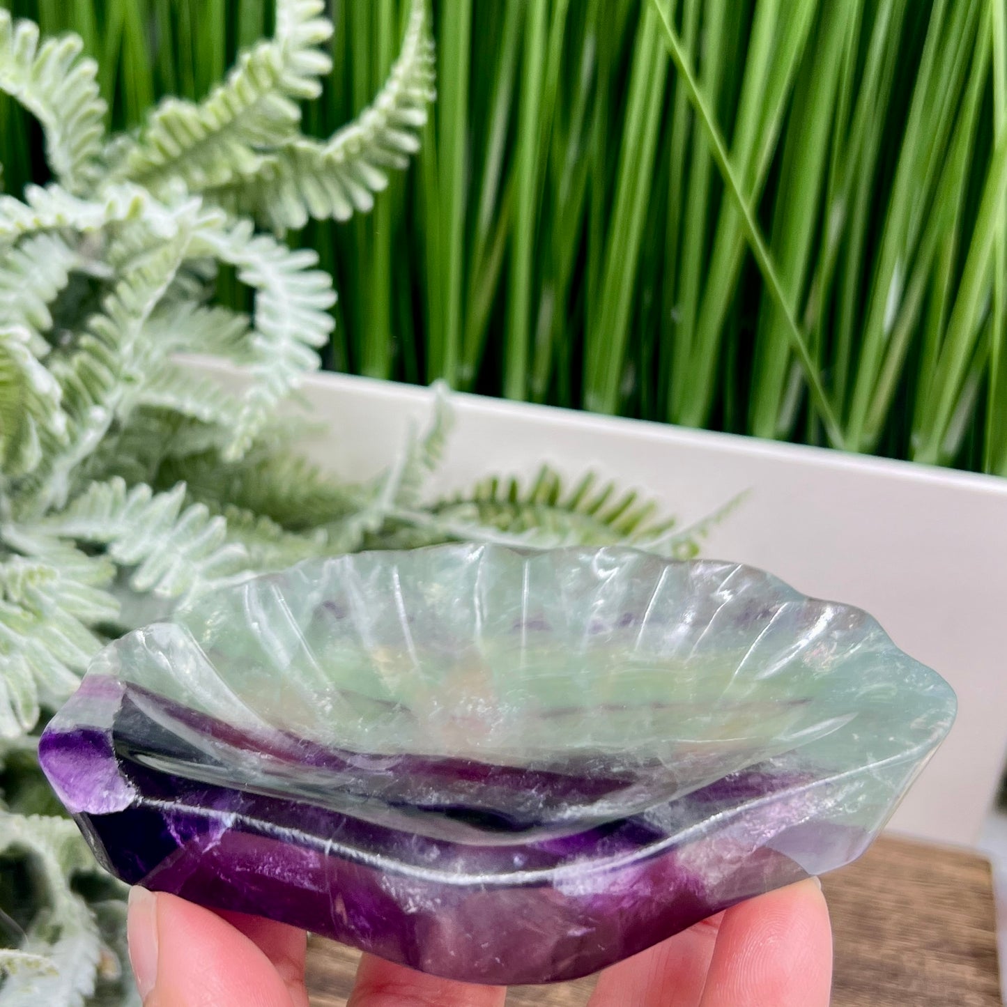 Purple Green Fluorite Shell Shaped Bowl Crystal Carving 276g