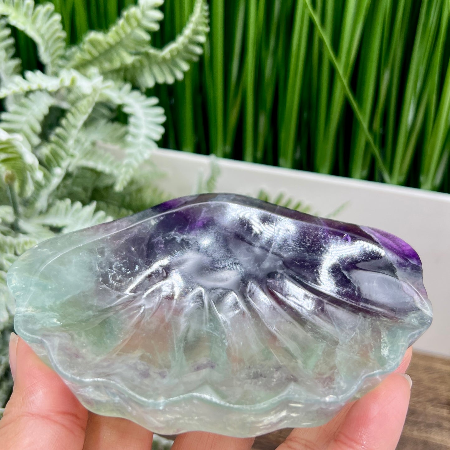 Purple Green Fluorite Shell Shaped Bowl Crystal Carving 276g