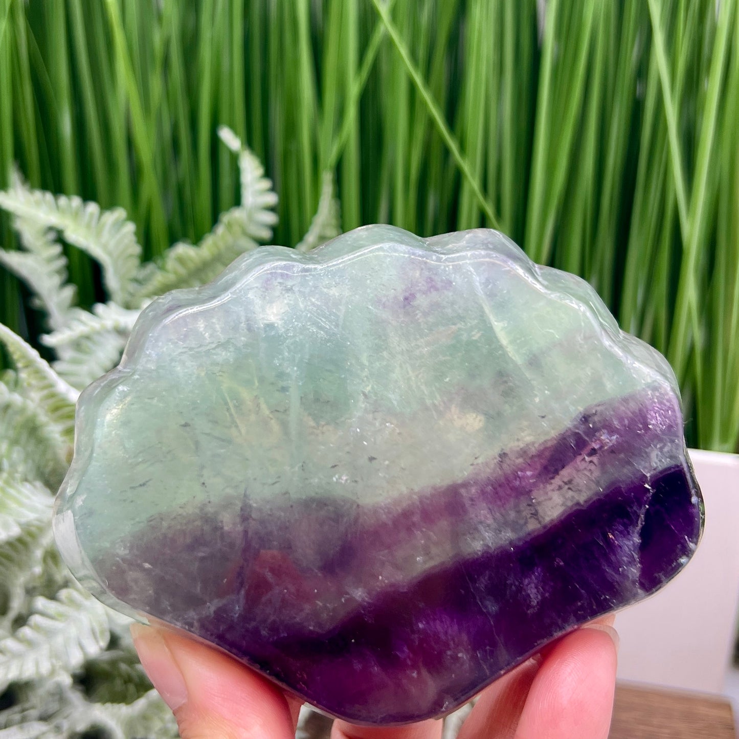 Purple Green Fluorite Shell Shaped Bowl Crystal Carving 276g