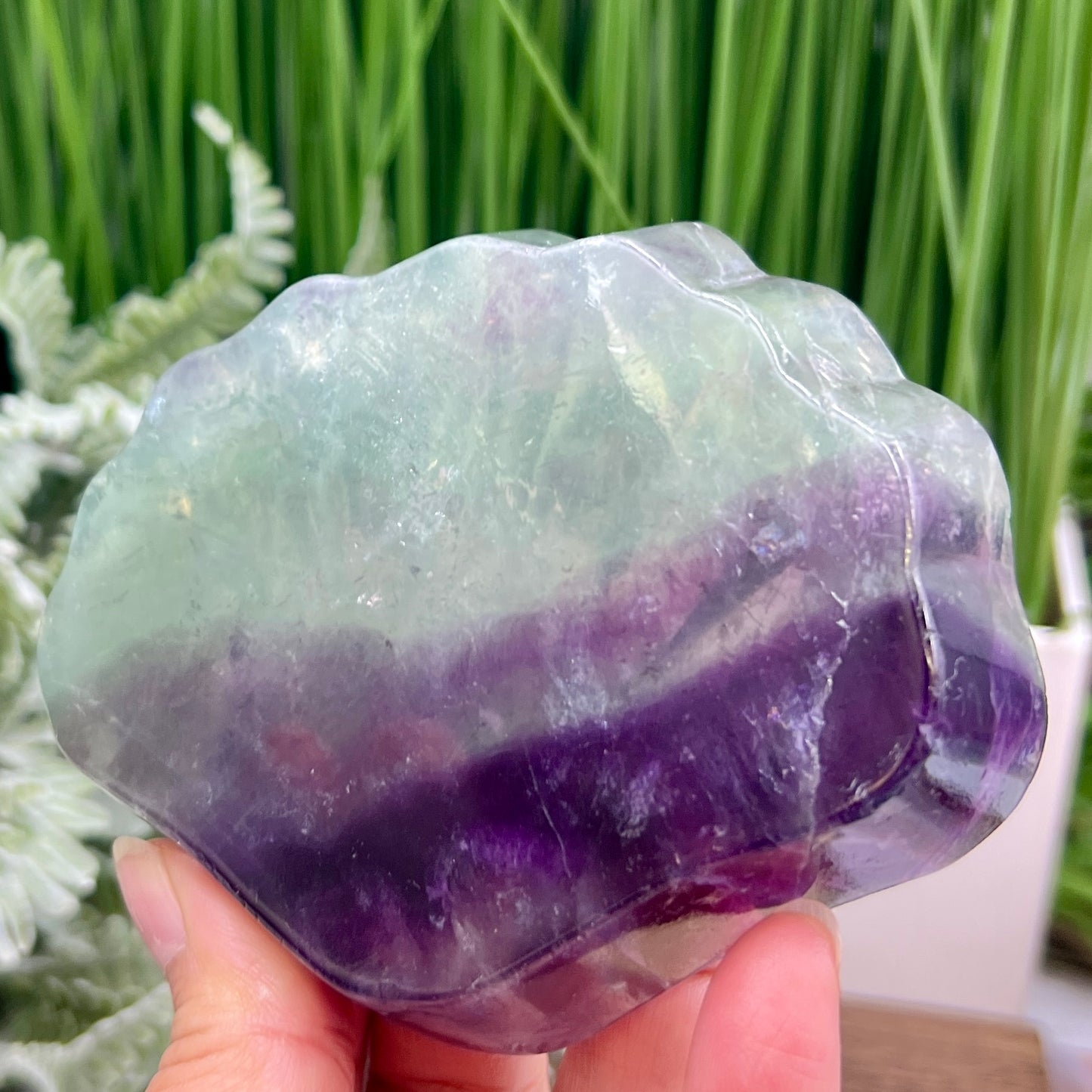 Purple Green Fluorite Shell Shaped Bowl Crystal Carving 276g