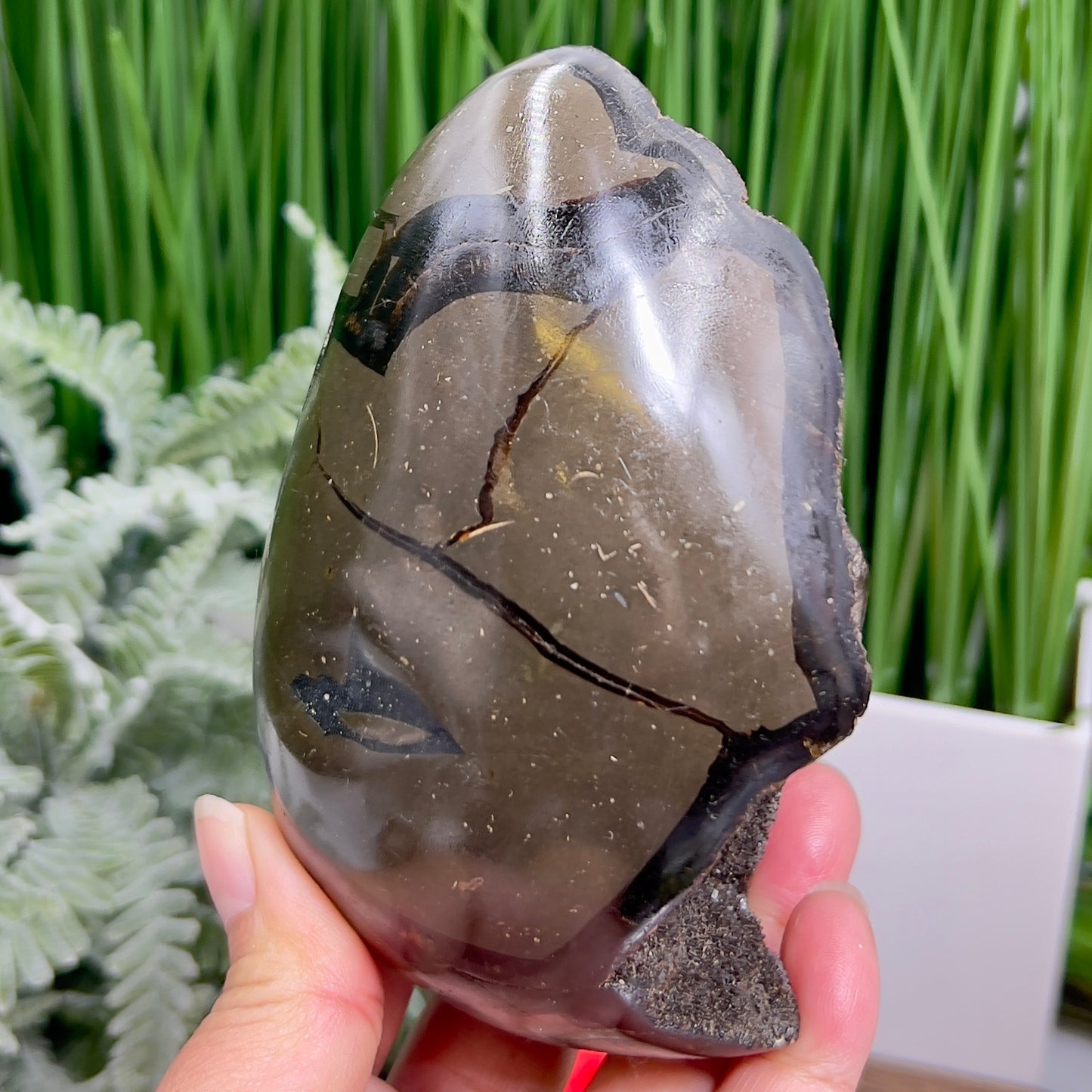 Dragon Septarian Jasper Egg with Stand Crystal Carving 934g
