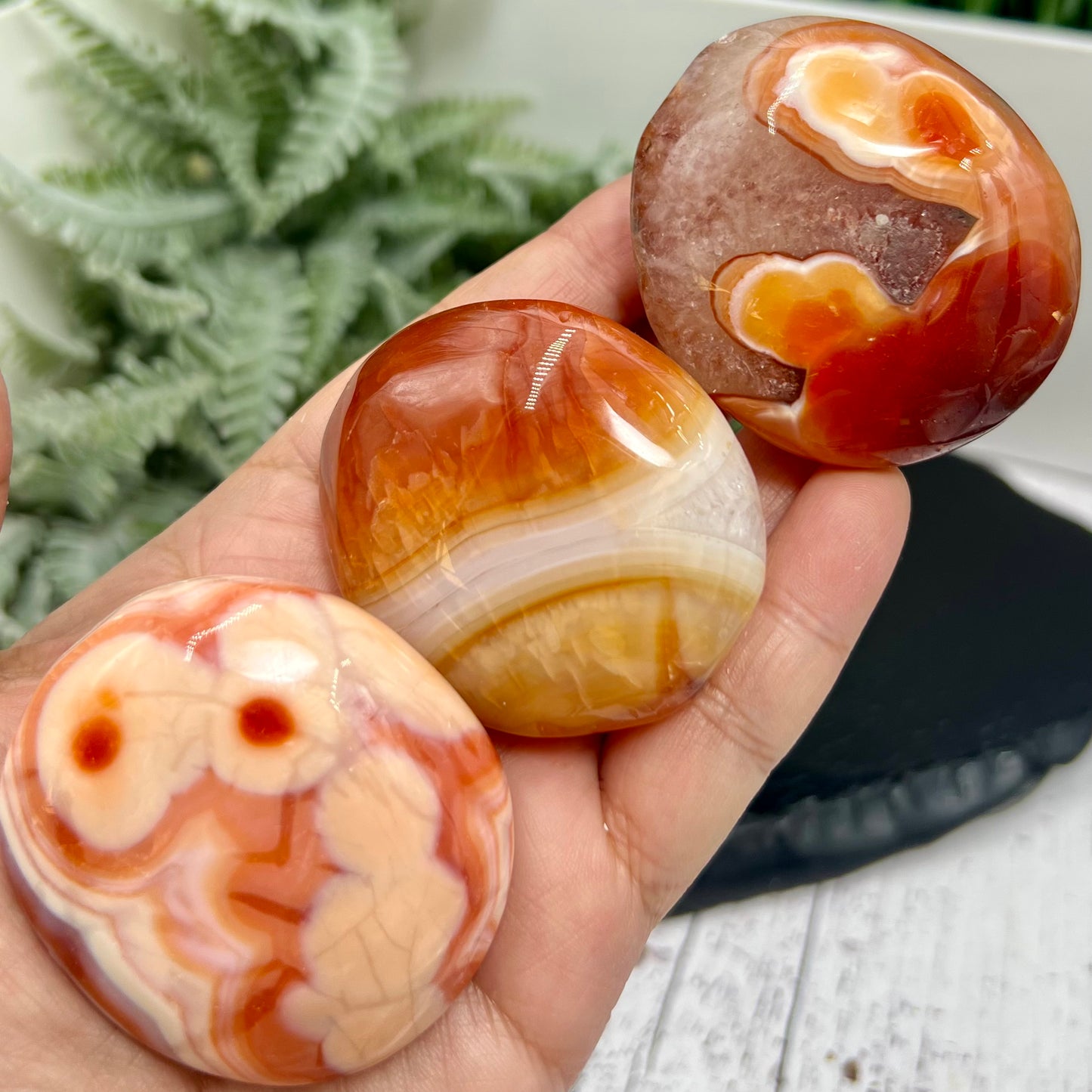 Carnelian Orca Agate Palm Stones Meditation Crystals YOU CHOOSE