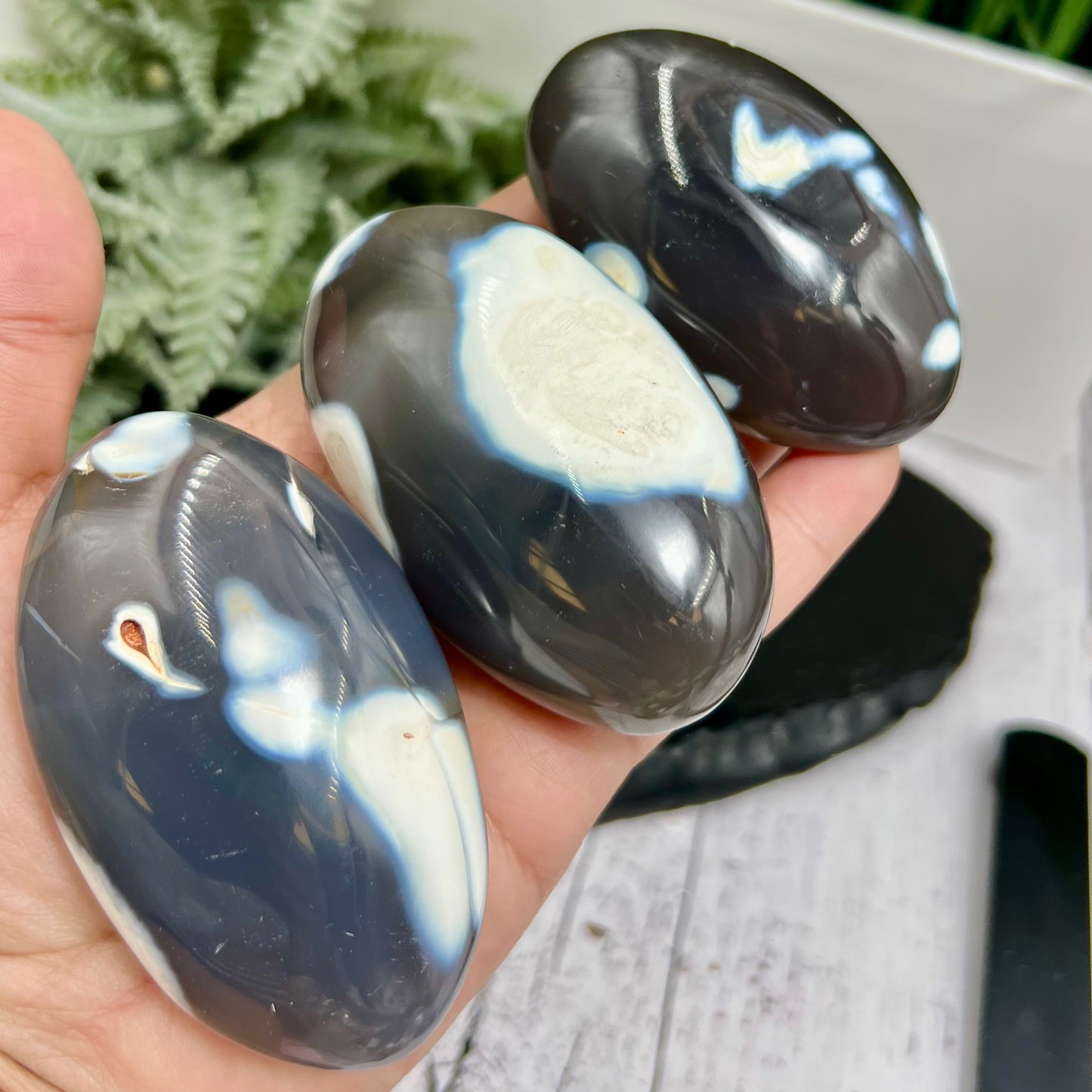 Orca Agate Palm Stone Worry Meditation Crystal YOU CHOOSE