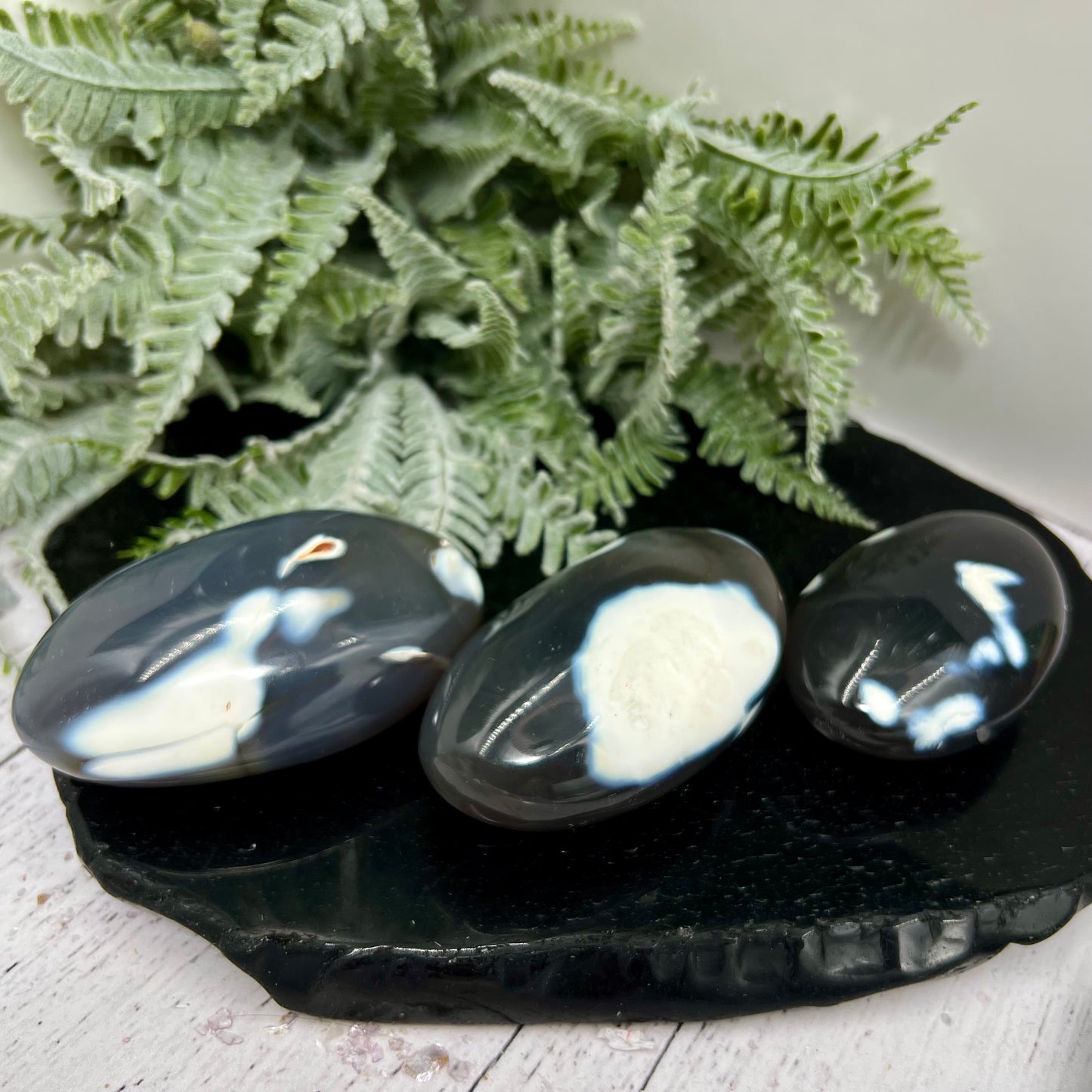 Orca Agate Palm Stone Worry Meditation Crystal YOU CHOOSE