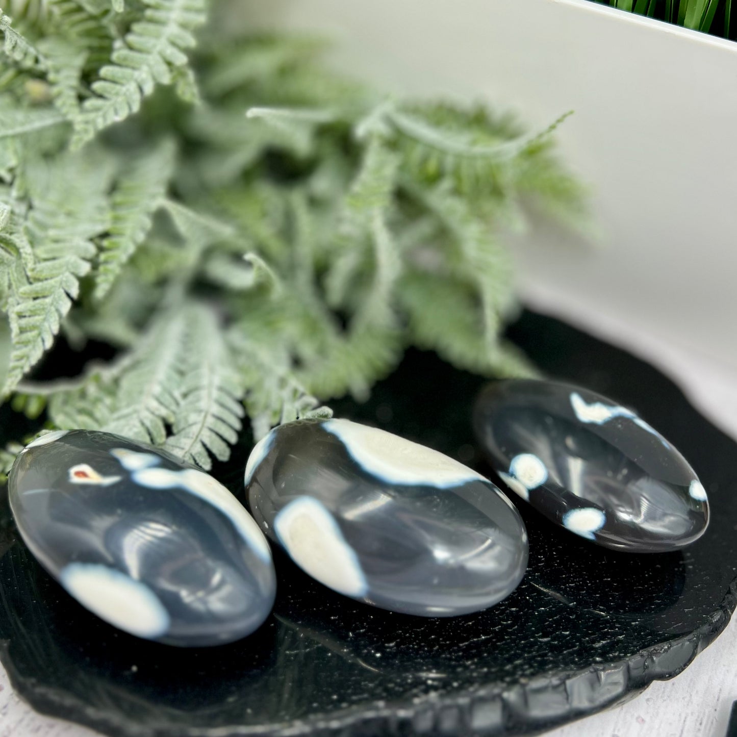 Orca Agate Palm Stone Worry Meditation Crystal YOU CHOOSE