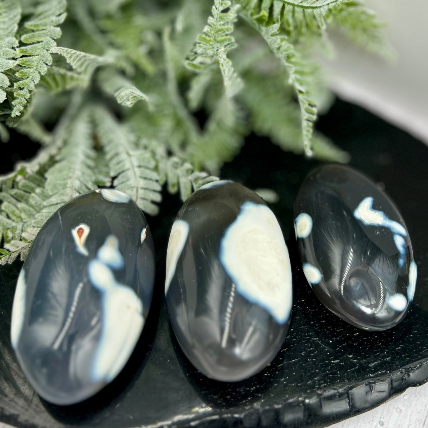 Orca Agate Palm Stone Worry Meditation Crystal YOU CHOOSE