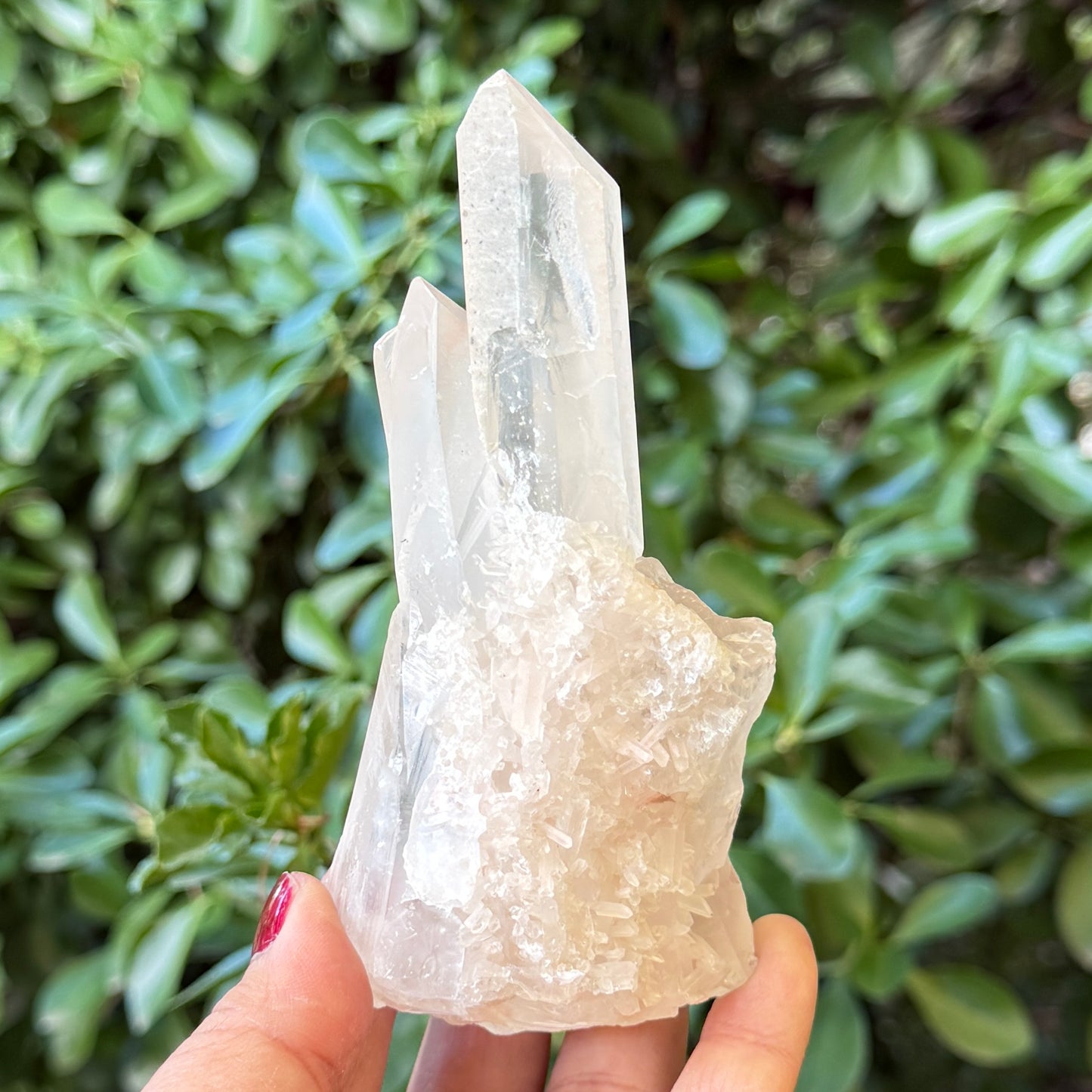 Clear Quartz Cluster Natural Raw Specimen Crystal 338g
