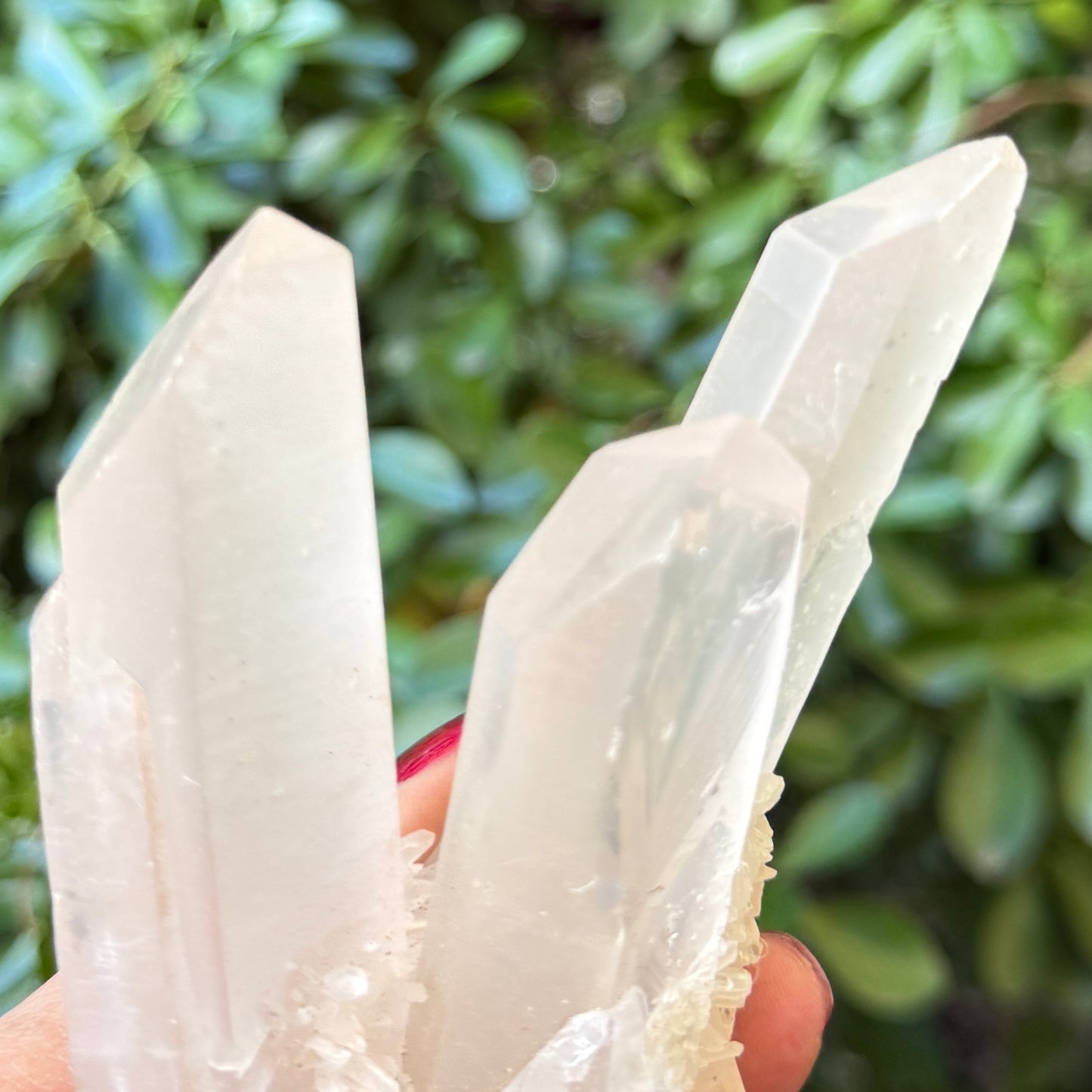 Clear Quartz Cluster Natural Raw Specimen Crystal 338g