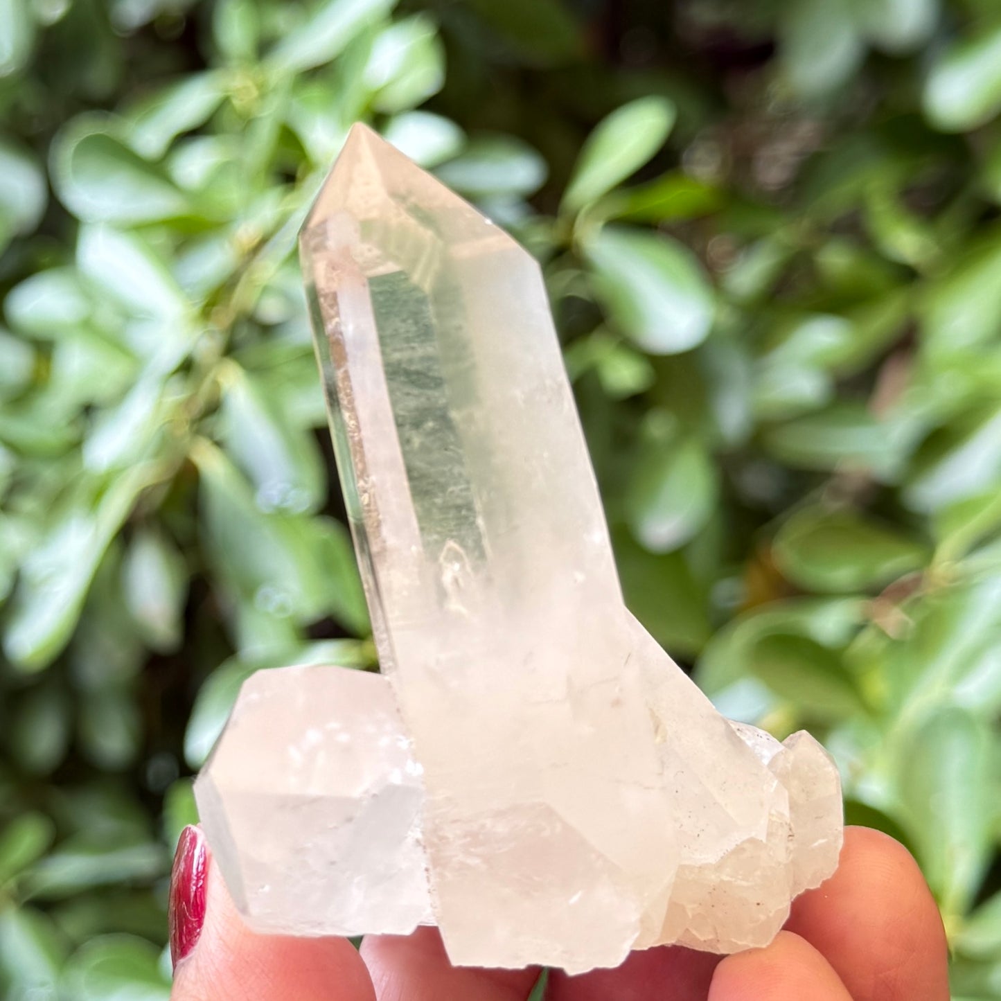 Clear Quartz Cluster Natural Raw Specimen Crystal 112g