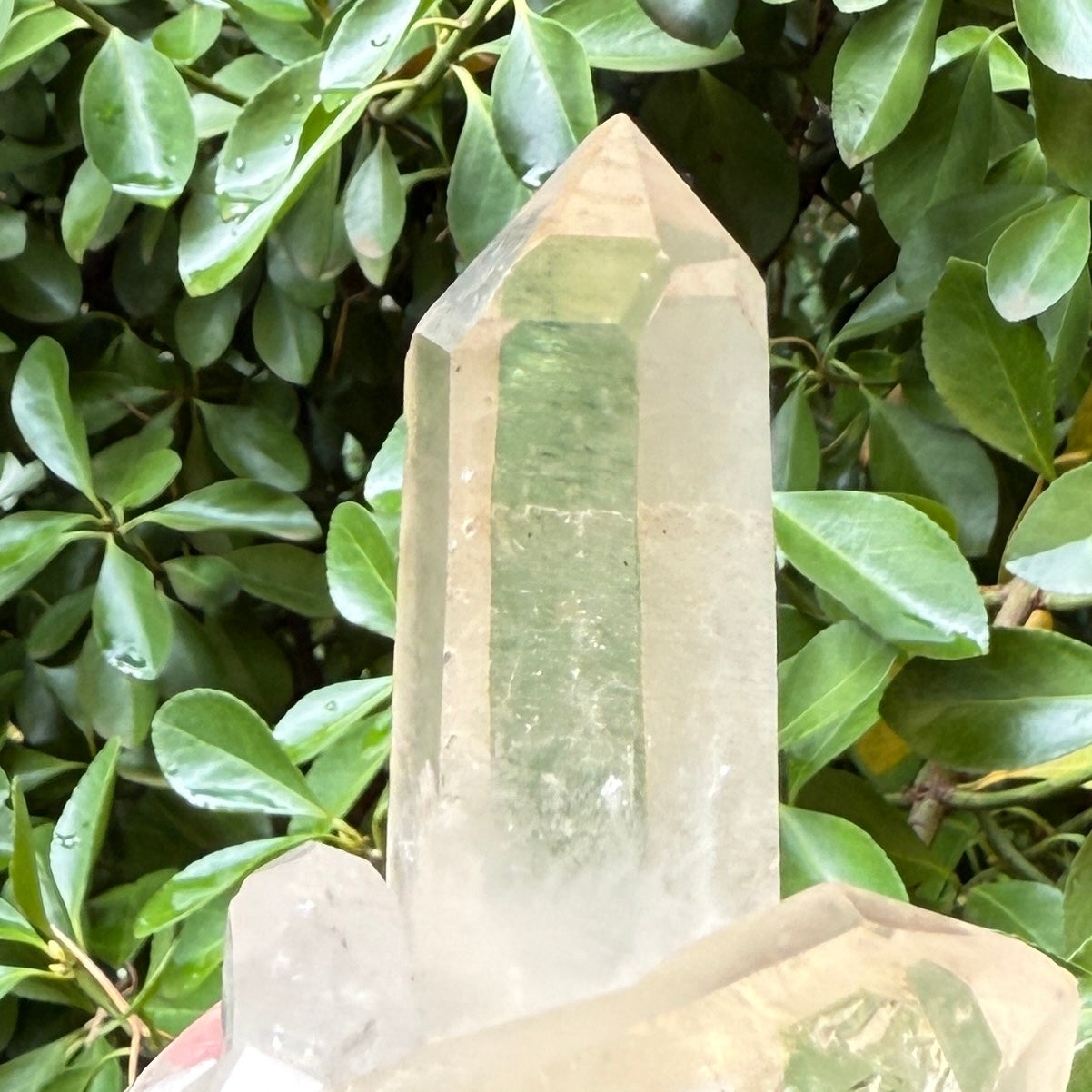 Clear Quartz Cluster Natural Raw Specimen Crystal 112g