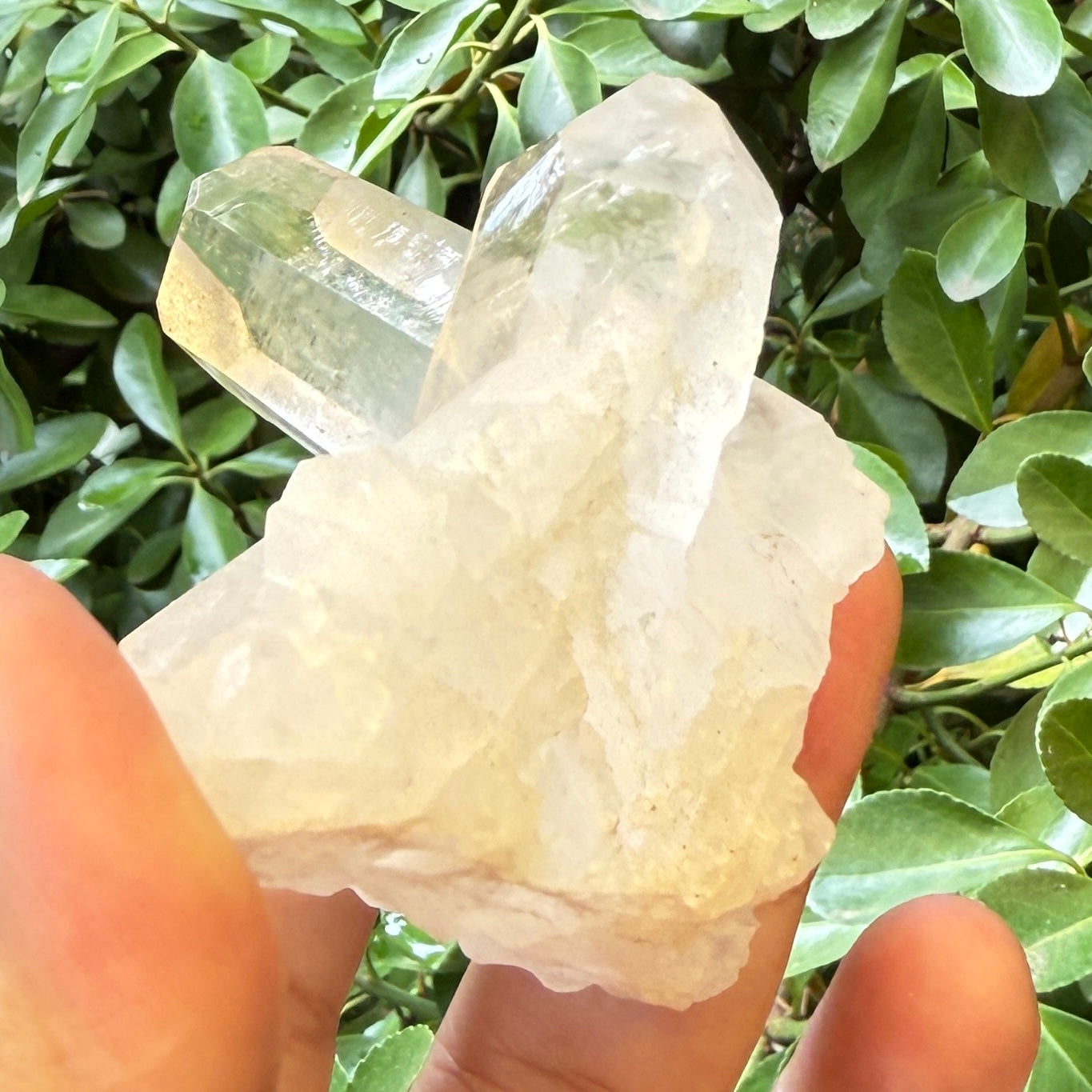 Clear Quartz Cluster Natural Raw Specimen Crystal 112g
