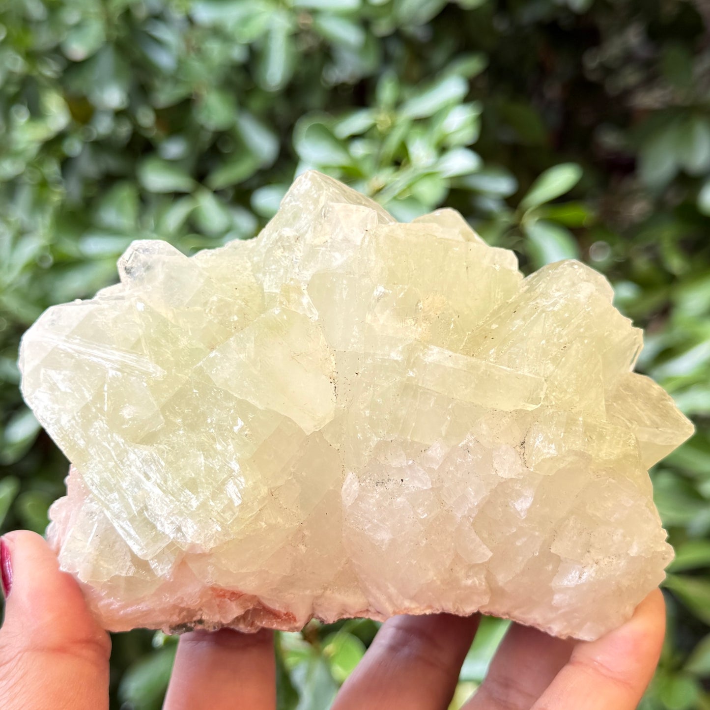 Green Apophyllite Cluster Natural Specimen Crystal 714g