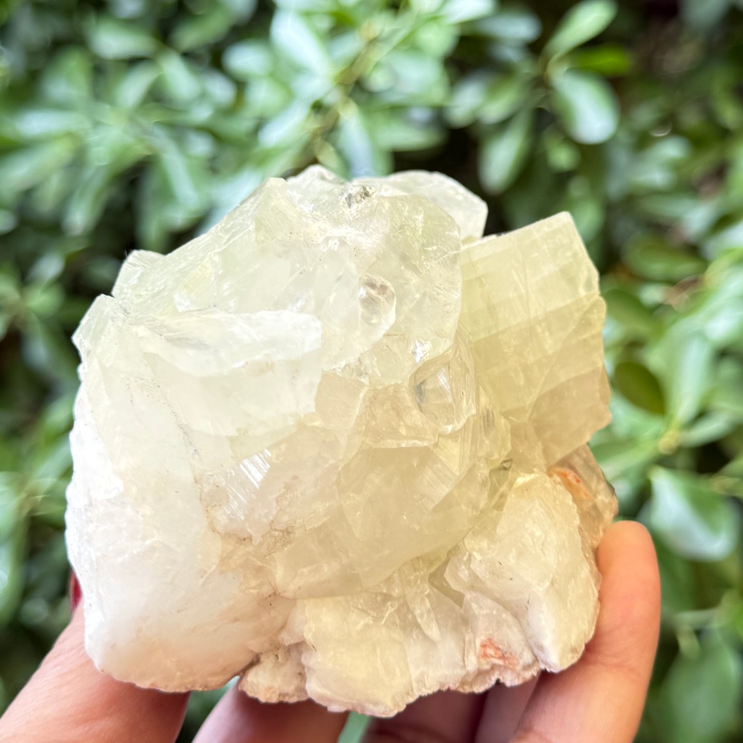 Green Apophyllite Cluster Natural Specimen Crystal 714g