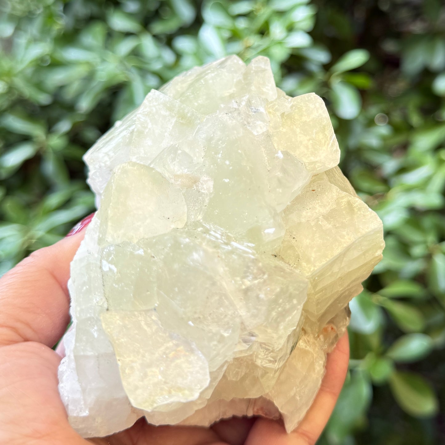Green Apophyllite Cluster Natural Specimen Crystal 714g