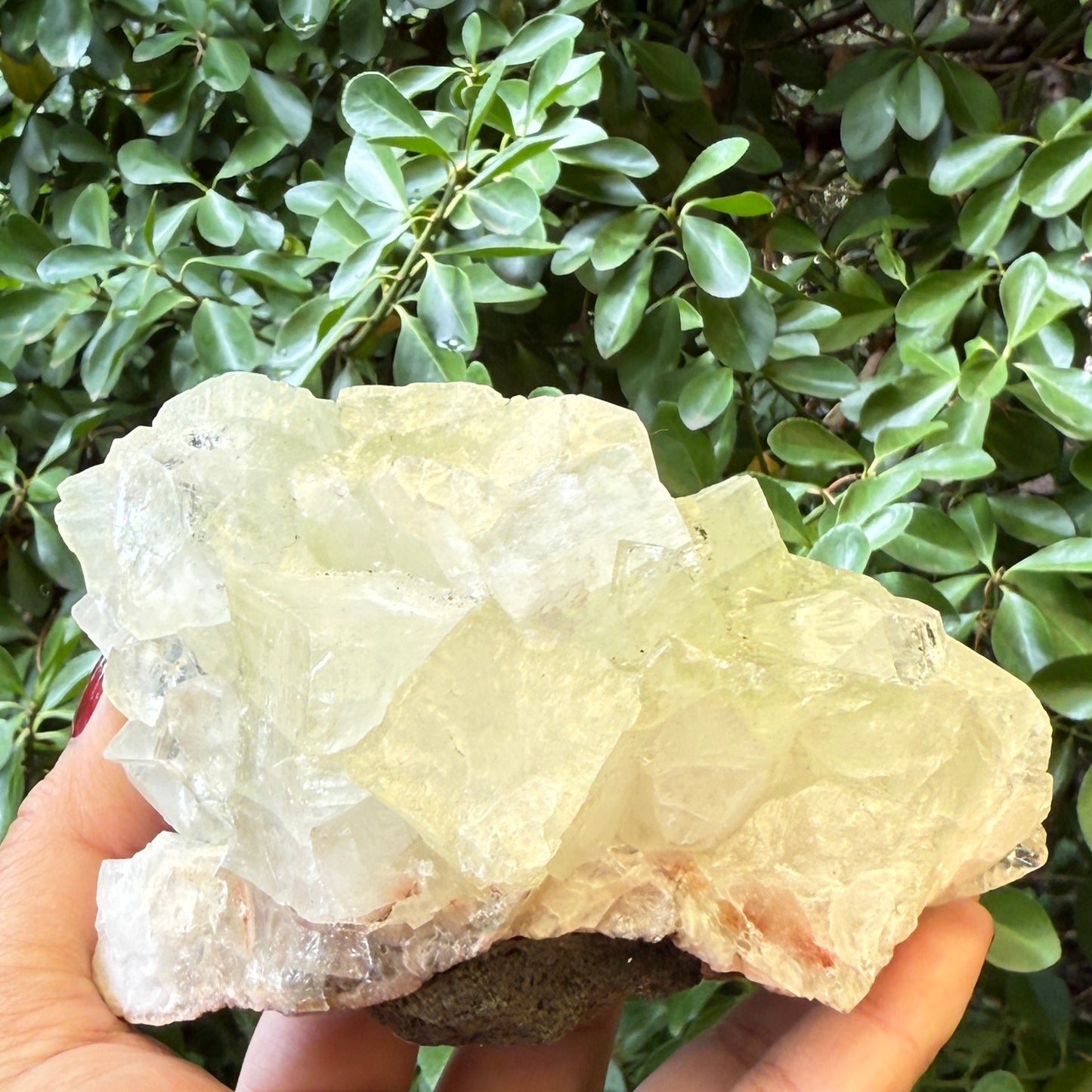 Green Apophyllite Cluster Natural Specimen Crystal 714g