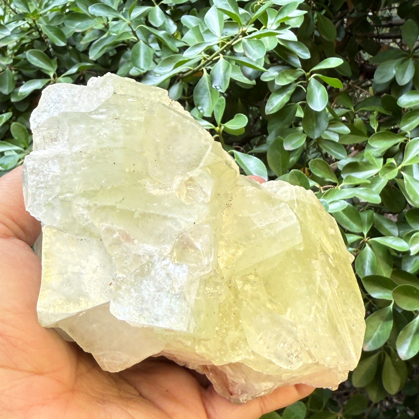 Green Apophyllite Cluster Natural Specimen Crystal 714g