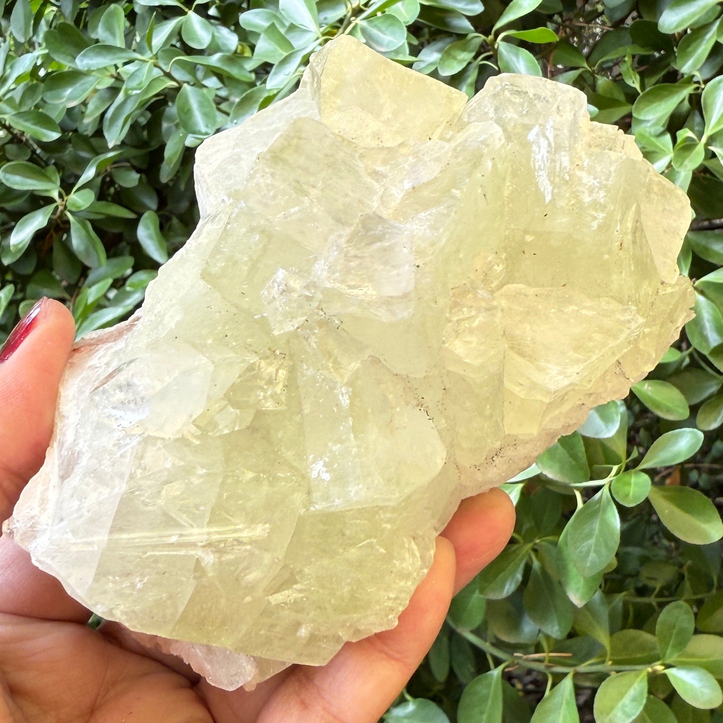 Green Apophyllite Cluster Natural Specimen Crystal 714g