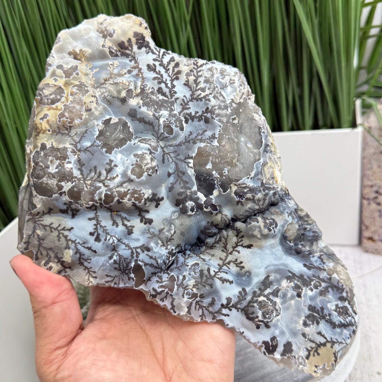 Dendritic Volcanic Agate RARE Raw Specimen UV Reactive Crystal 1704g