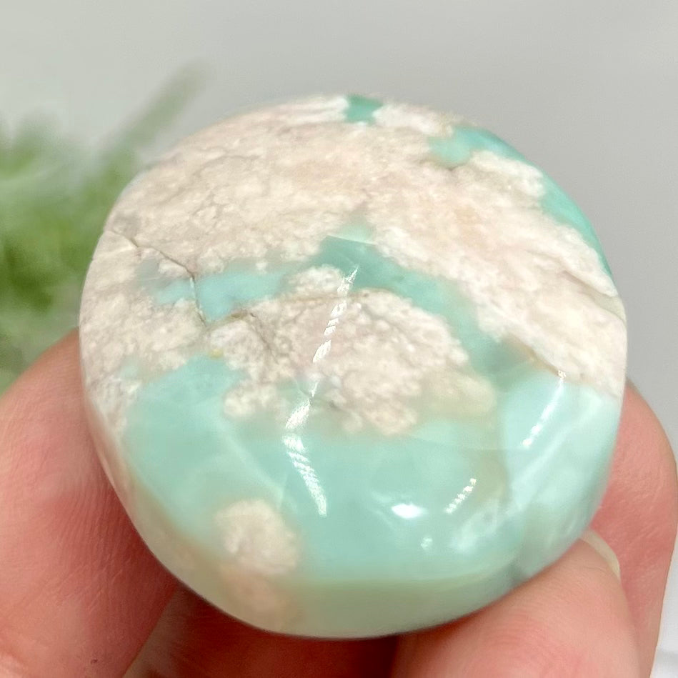 Green Flower Agate Sakura Rare Palm Stone Meditation Crystal 32g