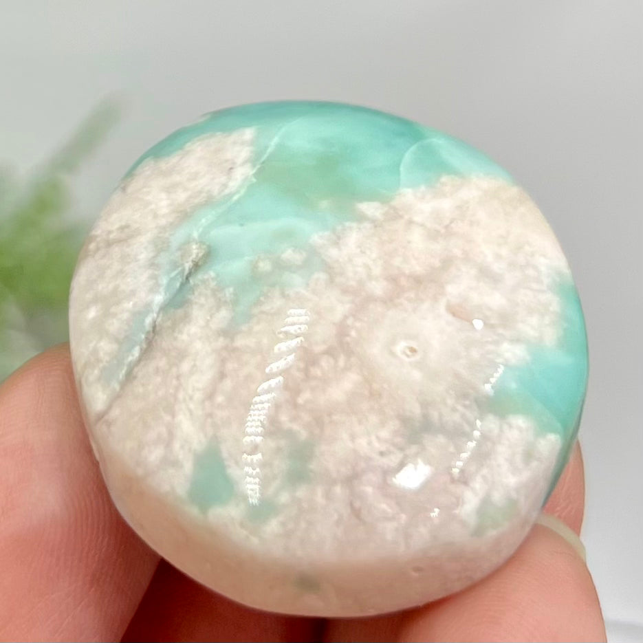 Green Flower Agate Sakura Rare Palm Stone Meditation Crystal 32g