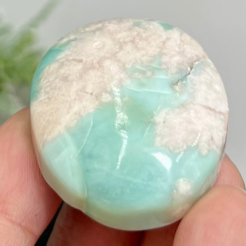 Green Flower Agate Sakura Rare Palm Stone Meditation Crystal 32g