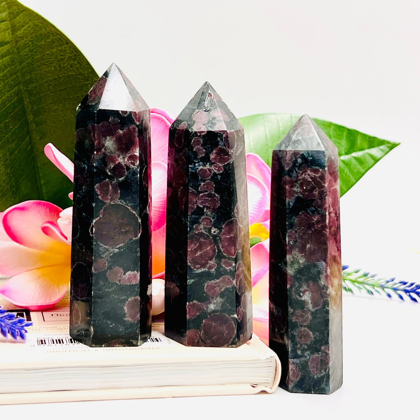 Garnet in Arfvedsonite Points Towers Crystal Generators YOU CHOOSE