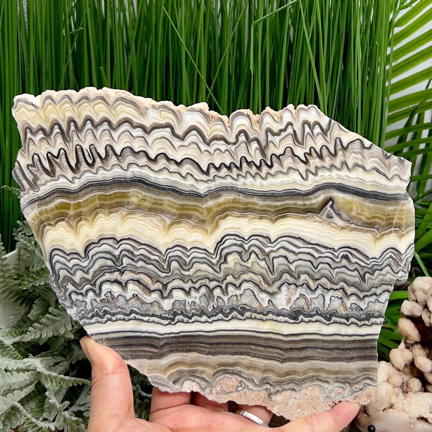 Large Zebra Calcite Slice Healing Crystal Specimen Slab 864g