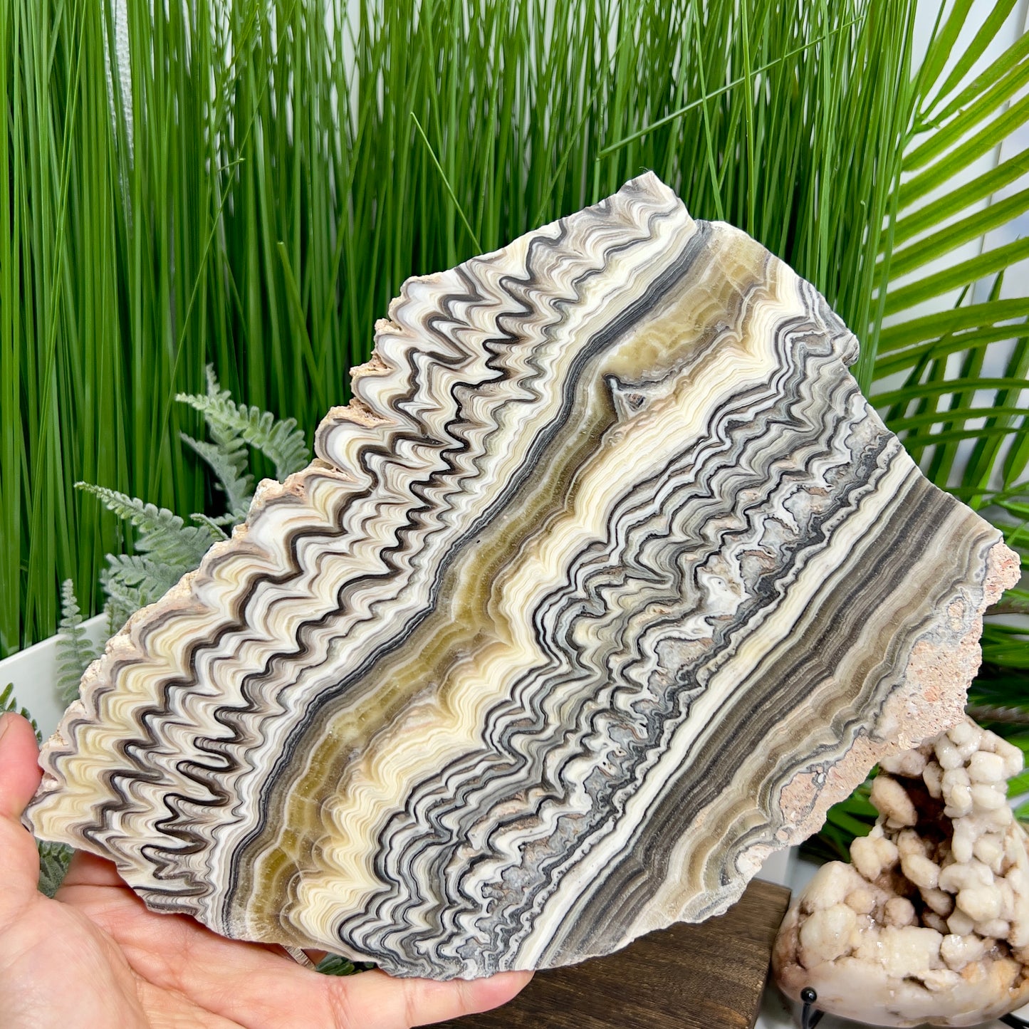 Large Zebra Calcite Slice Healing Crystal Specimen Slab 864g