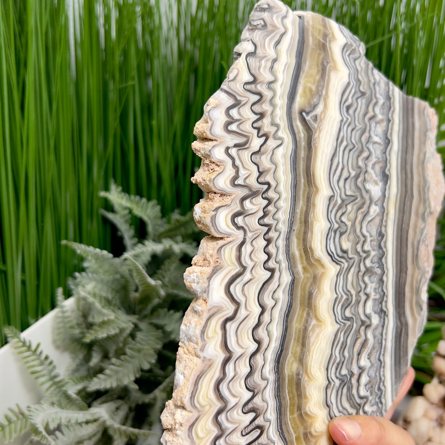 Large Zebra Calcite Slice Healing Crystal Specimen Slab 864g